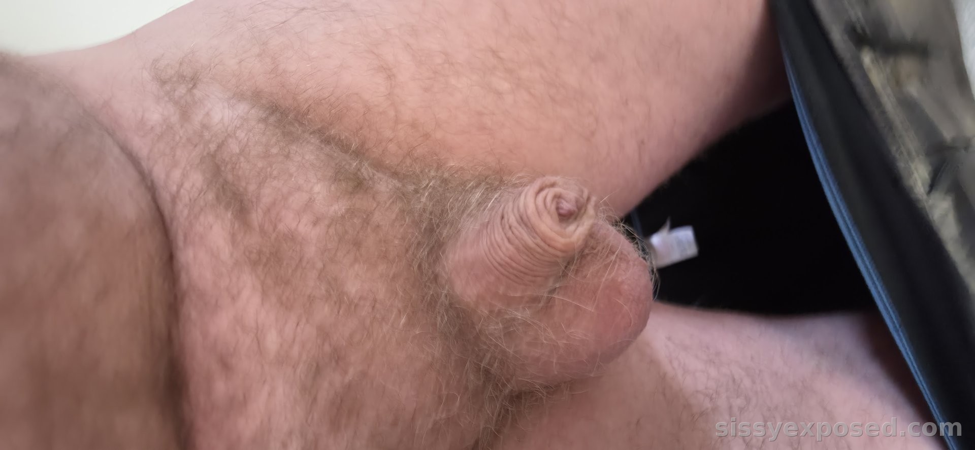 Sissy exposed