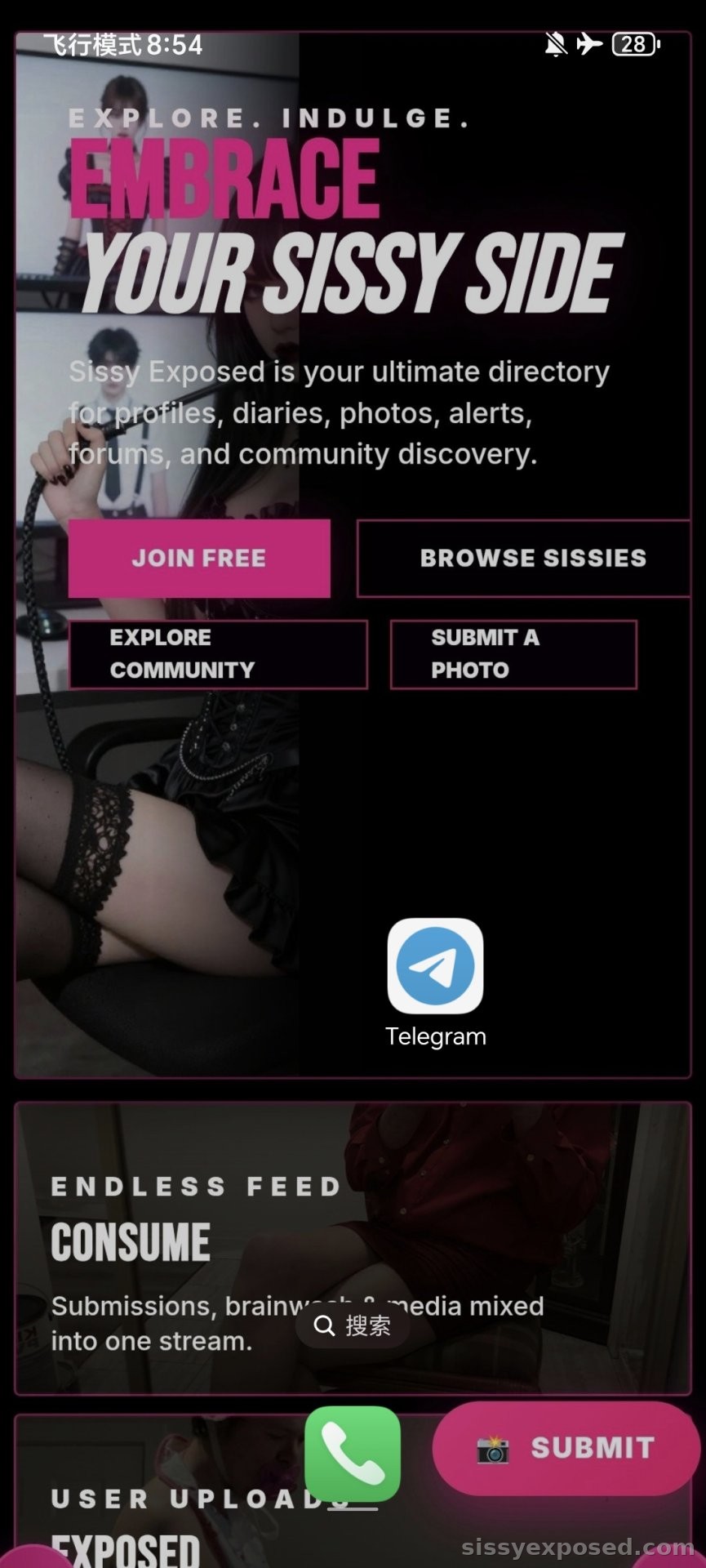 Challenge: Change your phone wallpaper to the Sissy Exposed logo for 24 hours and screenshot it