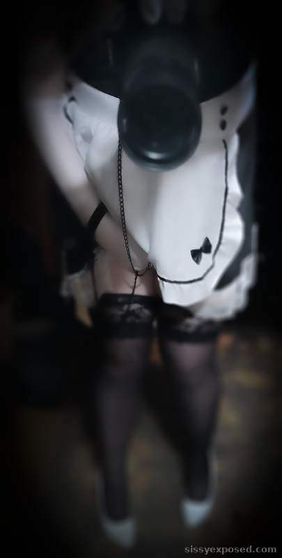 Sissy maid on a leash TonyaUkka