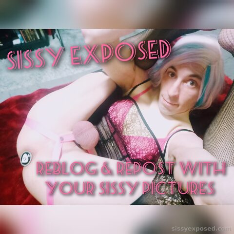 My sissy captions